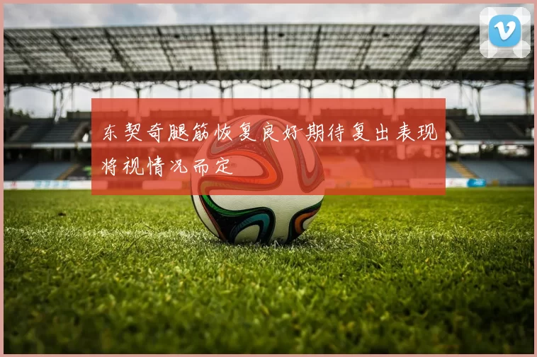 东契奇腿筋恢复良好期待复出表现将视情况而定